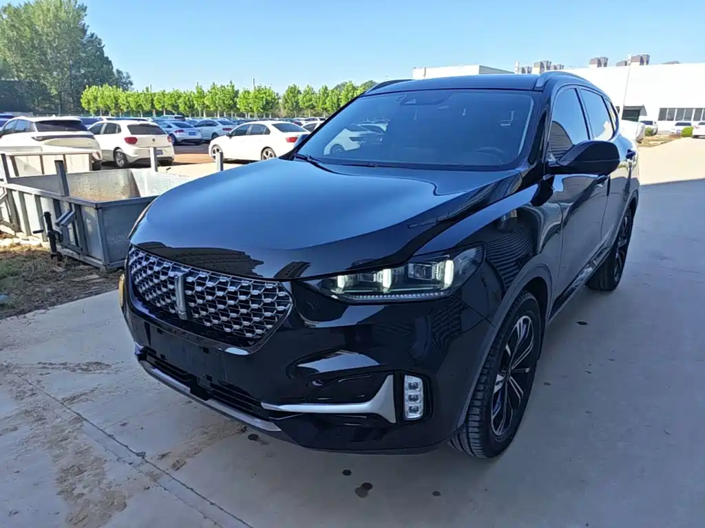 Wey Wey VV6