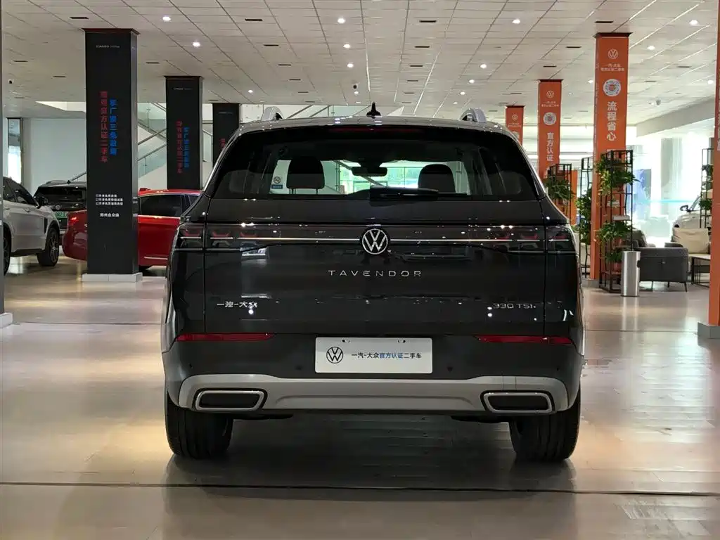 Volkswagen Tavendor — миниатюра 19