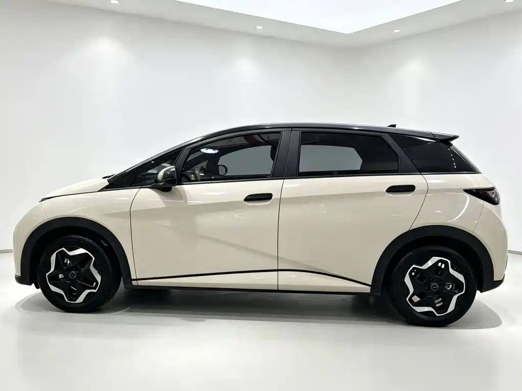BYD Dolphin — миниатюра 15