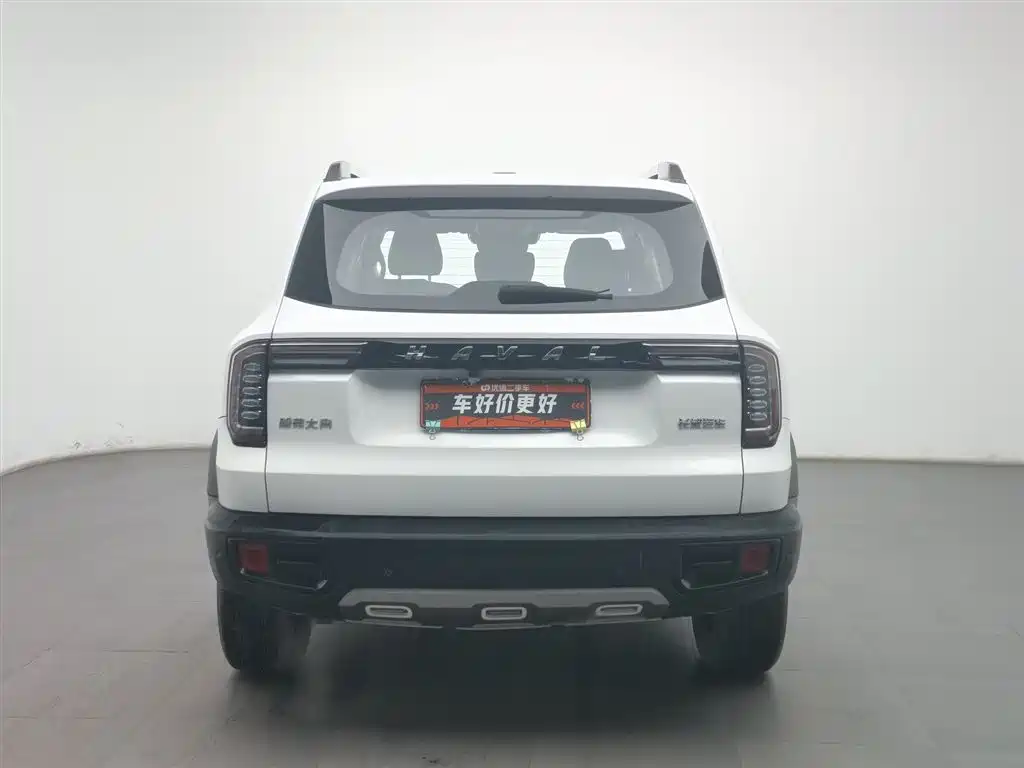 HAVAL BIG DOG