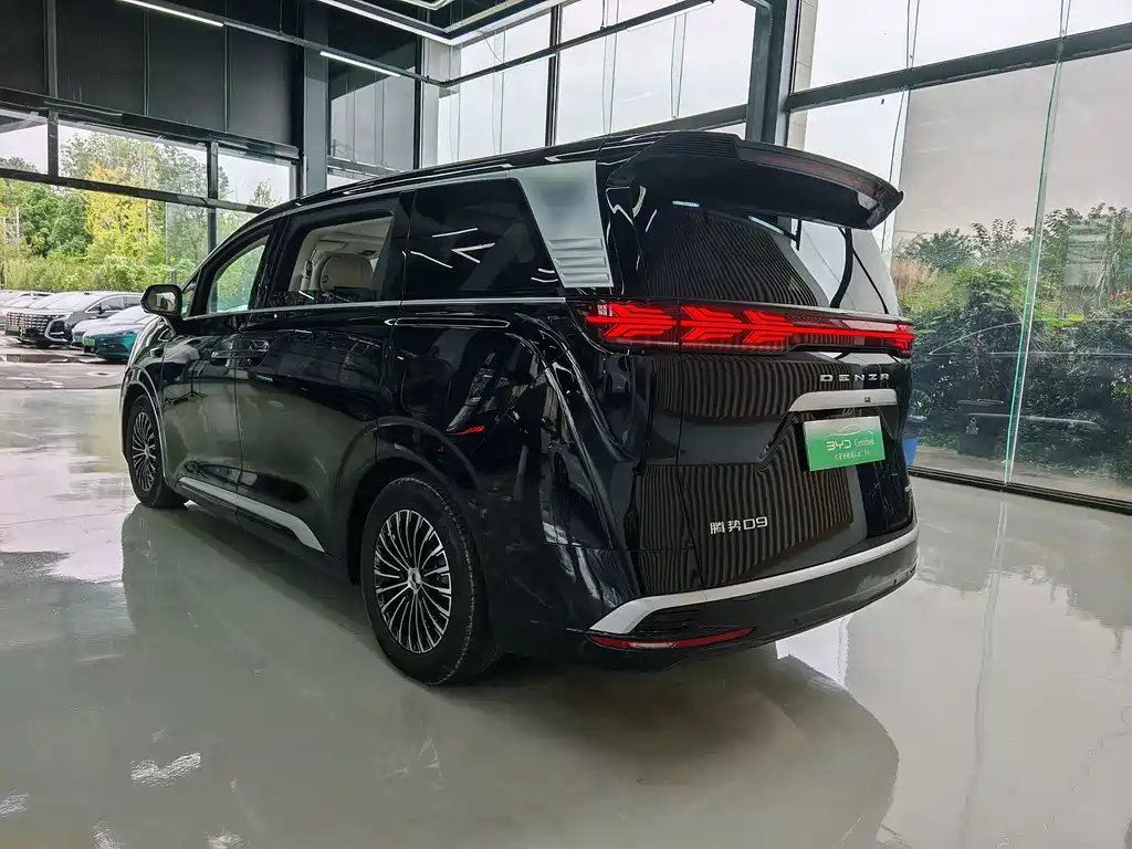 Denza Denza D9 — миниатюра 6