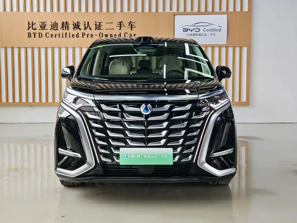 Denza Denza D9 — миниатюра 14