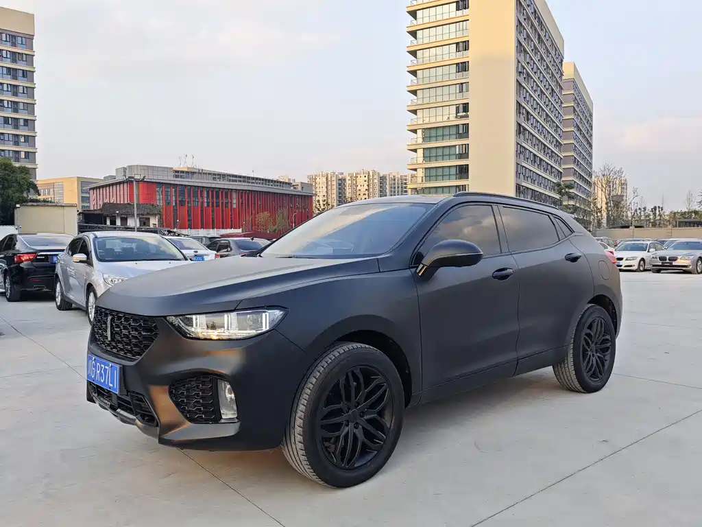 WEI PAI WEI BRAND VV5