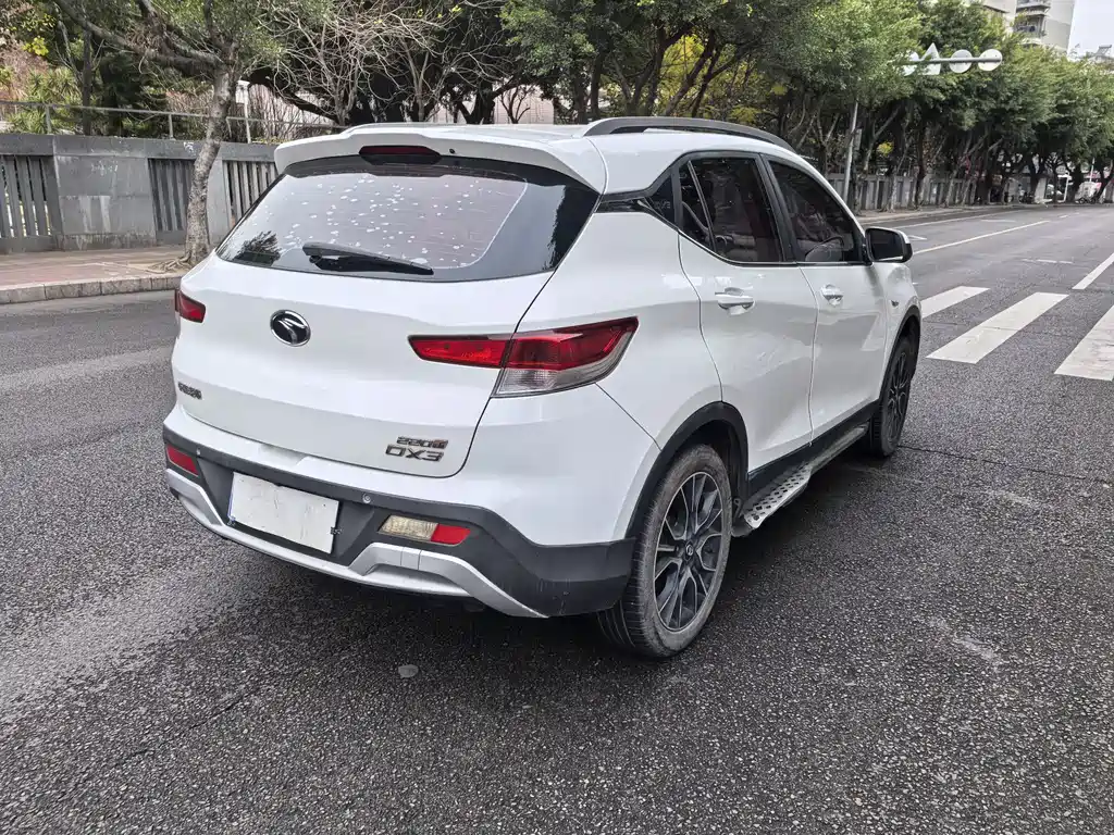 SOUEAST SOUTHEAST DX3