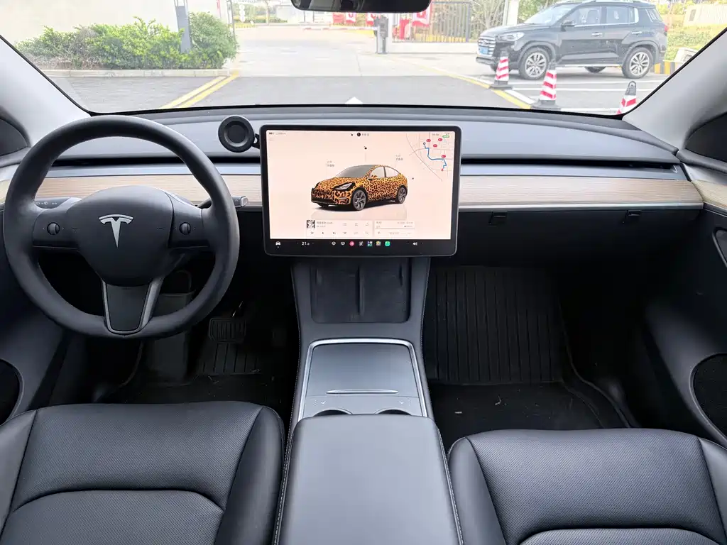 Tesla Model Y — миниатюра 11