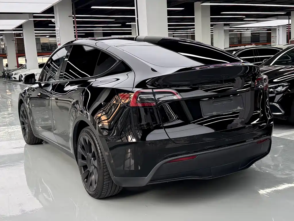 Tesla Model Y — миниатюра 14
