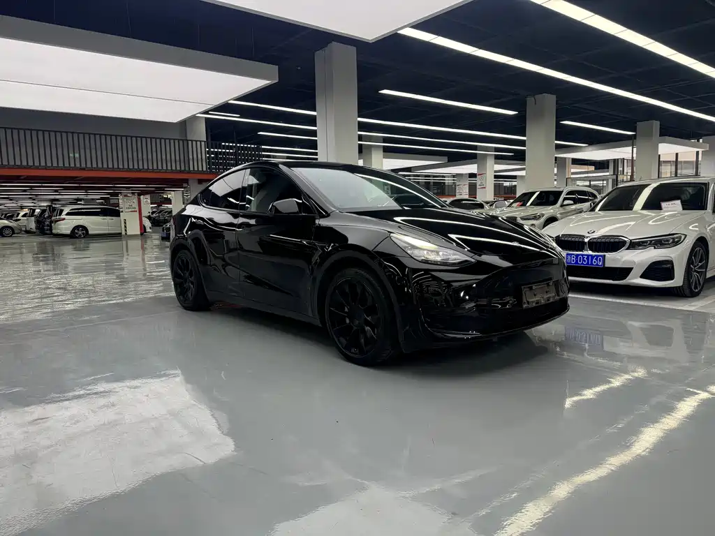 Tesla Model Y — миниатюра 3