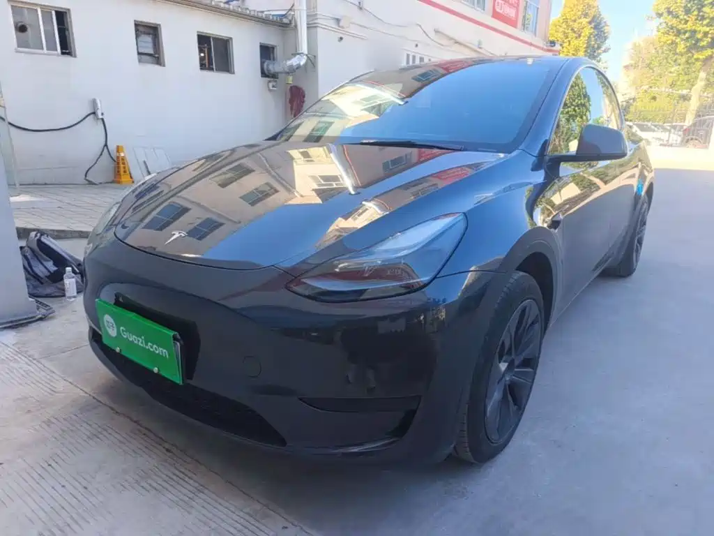 Tesla Model Y — миниатюра 2