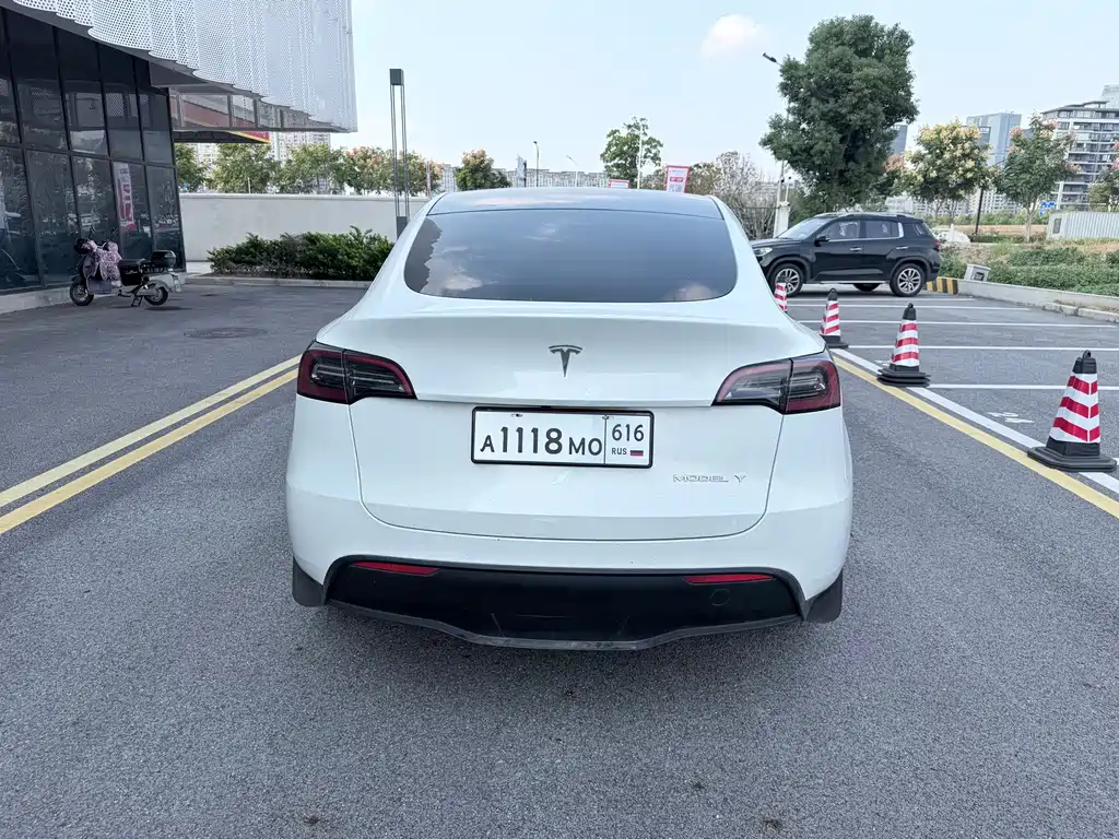 Tesla Model Y — миниатюра 5