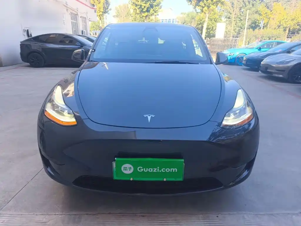 Tesla Model Y — миниатюра 3