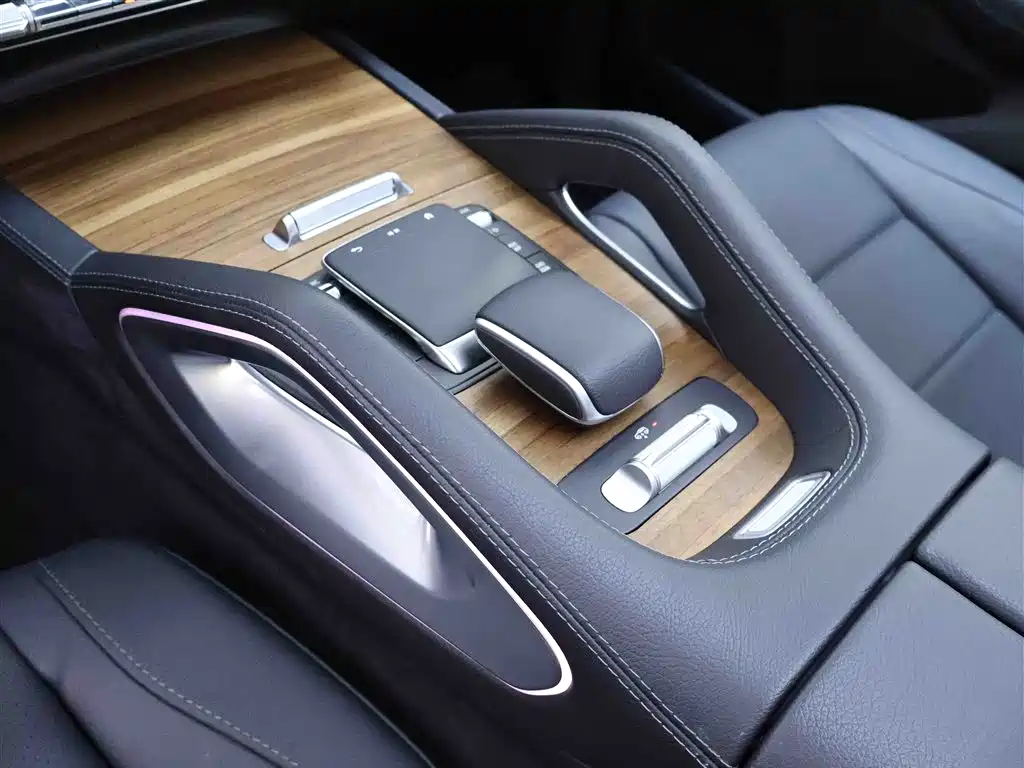 Mercedes-Benz GLE New Energy — миниатюра 12