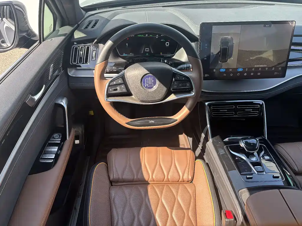 BYD Tang New Energy — миниатюра 13