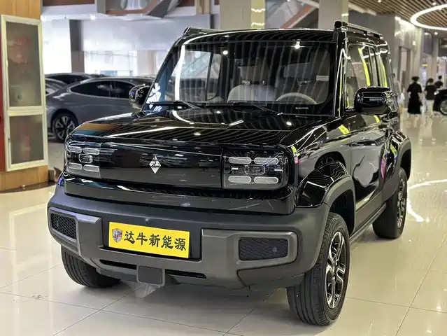 BAOJUN YUE ALSO 2024