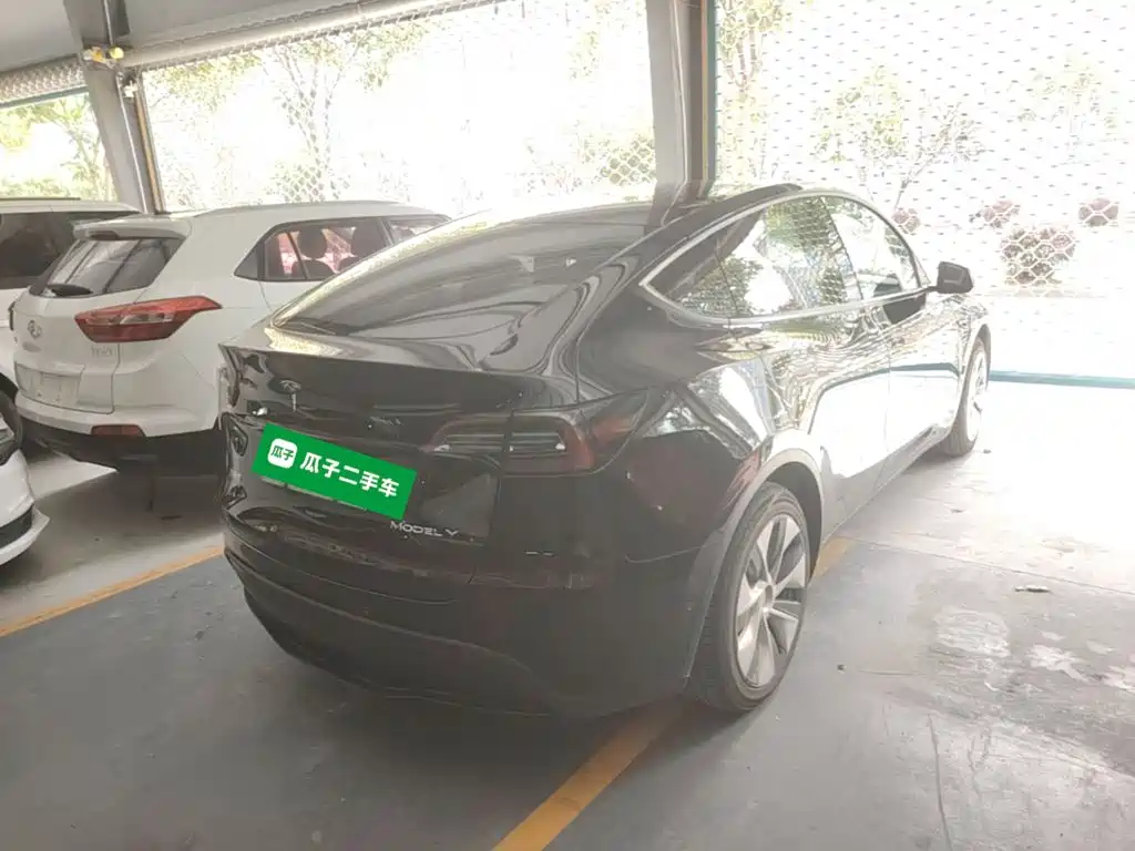 Tesla Model Y — миниатюра 7