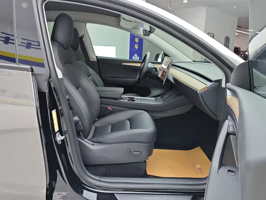 Tesla Model Y — миниатюра 7