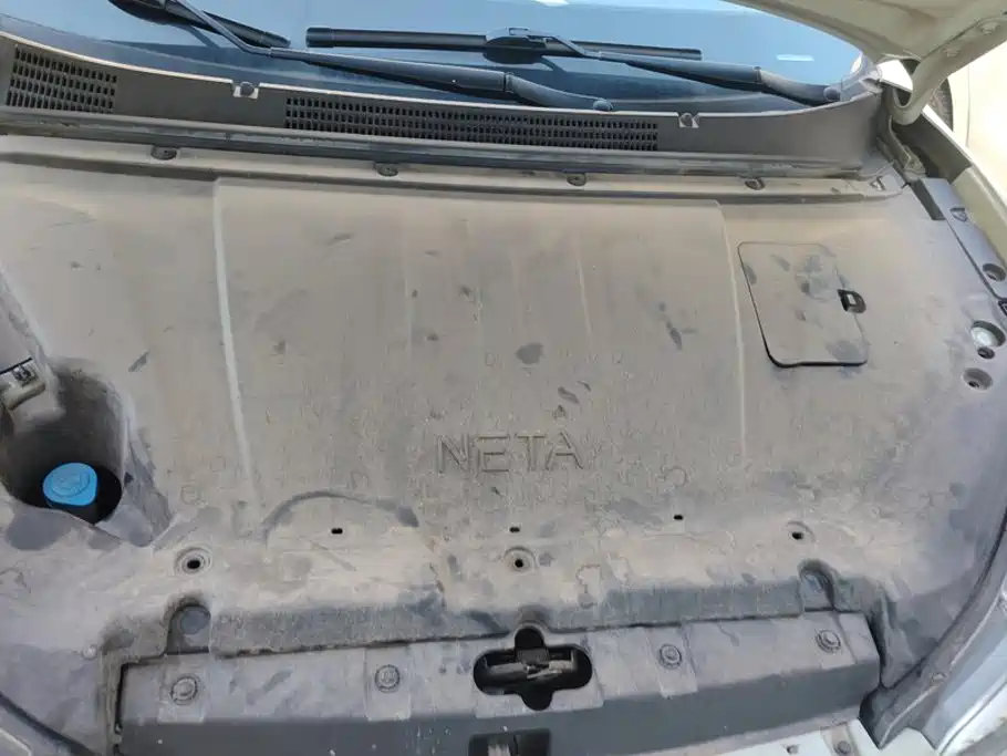 Neta Neta V — миниатюра 10