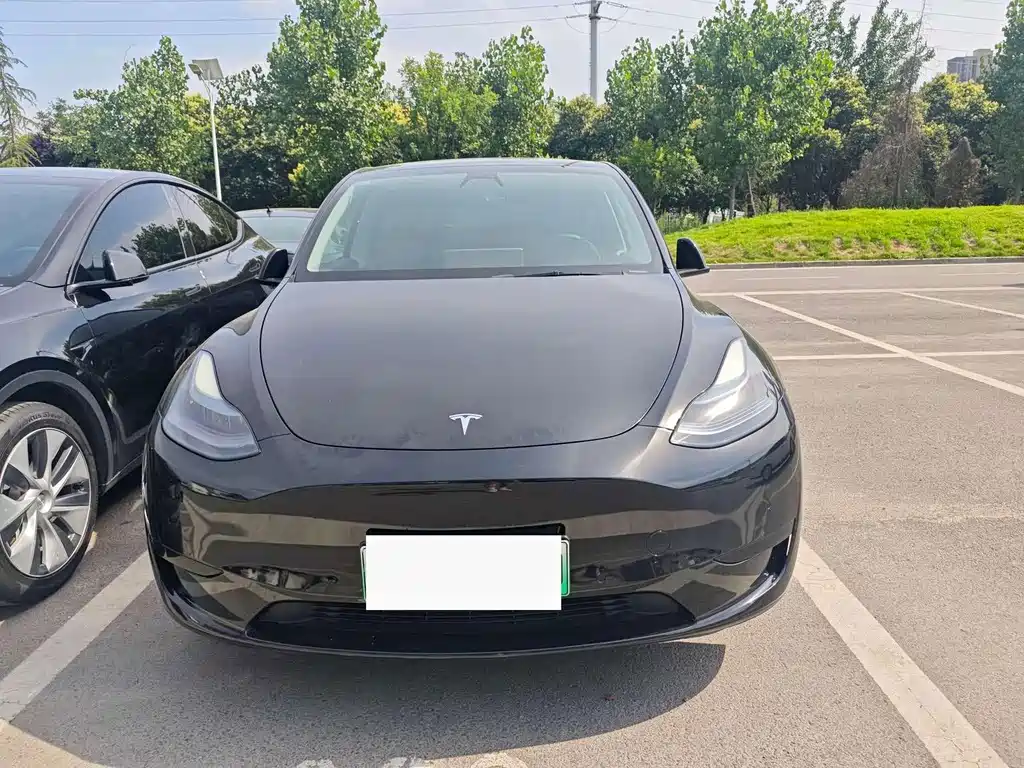 Tesla Model Y — миниатюра 2