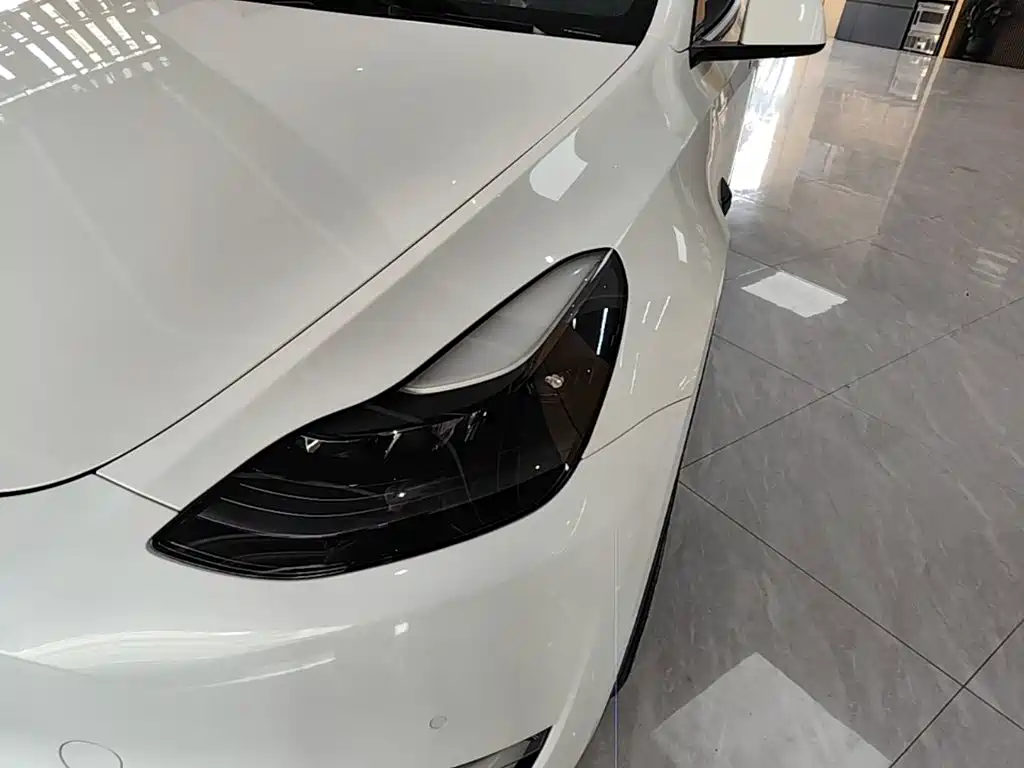 Tesla Model Y — миниатюра 24