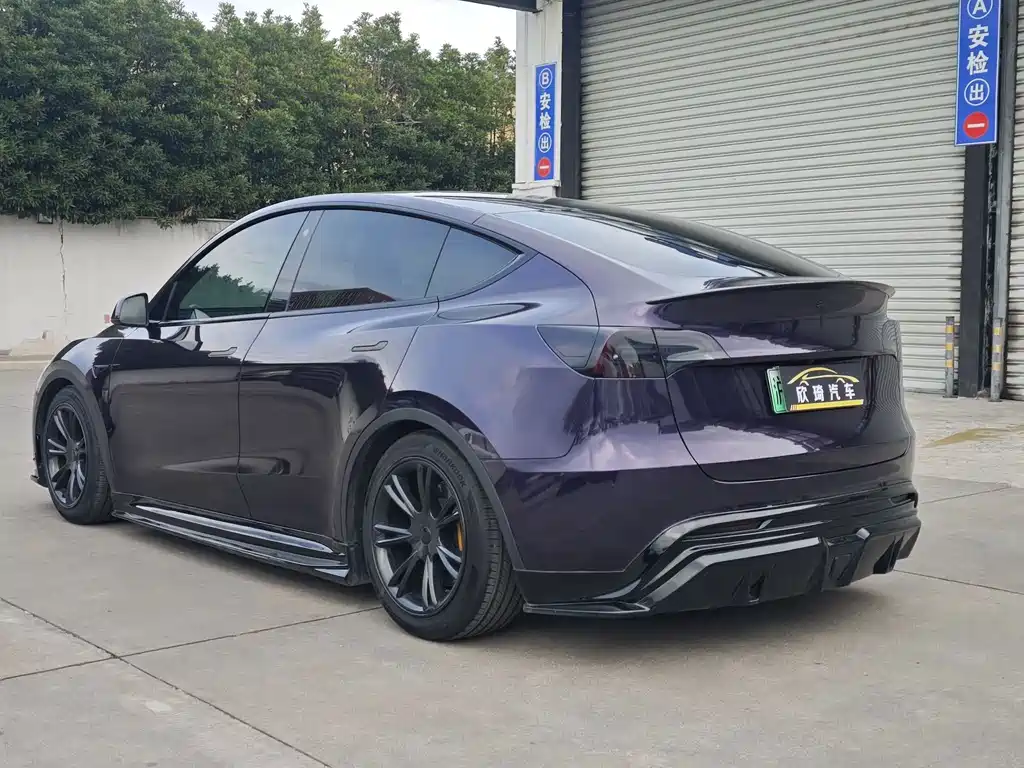 Tesla Model Y — миниатюра 6