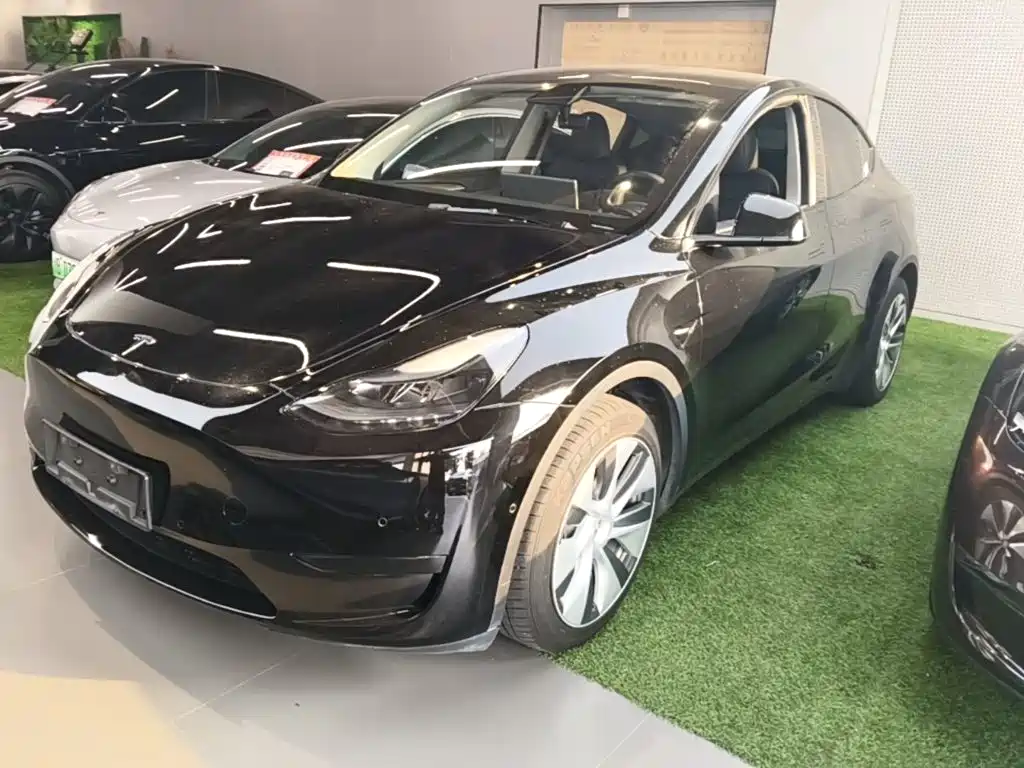 Tesla Model Y — миниатюра 2