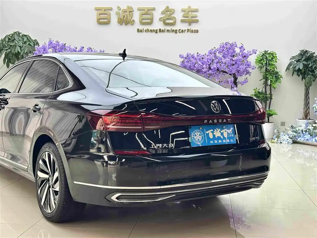 Volkswagen Passat — миниатюра 8