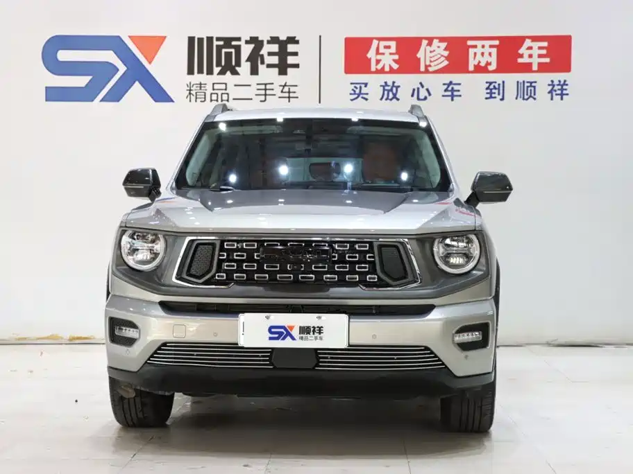 Haval Big Dog PLUS New Energy — миниатюра 2