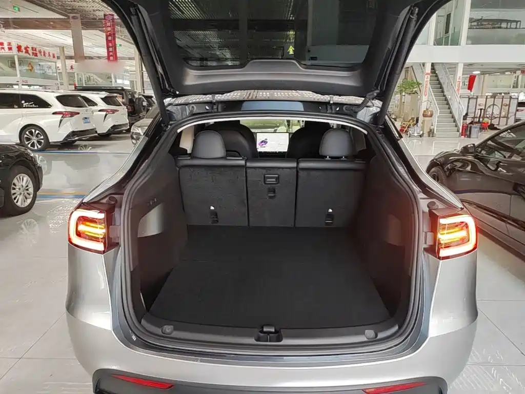 Tesla Model Y — миниатюра 19