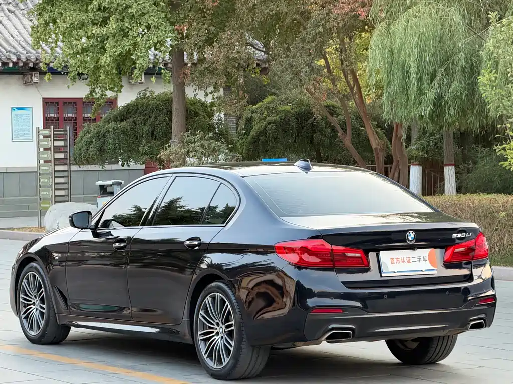 BMW 5 Series — миниатюра 6