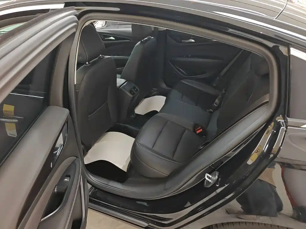 Buick Regal — миниатюра 17