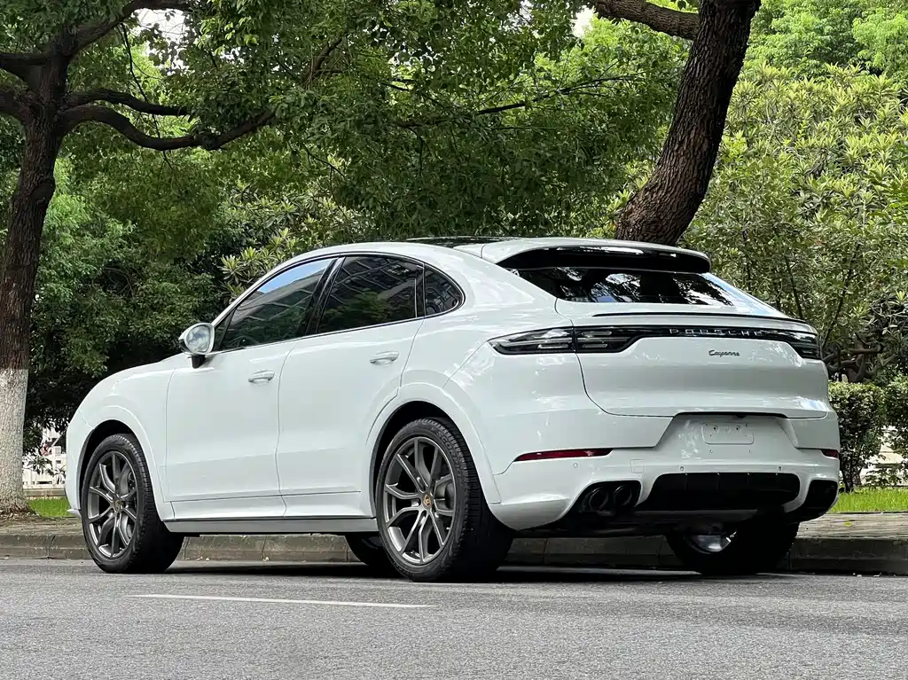 Porsche Cayenne — миниатюра 23