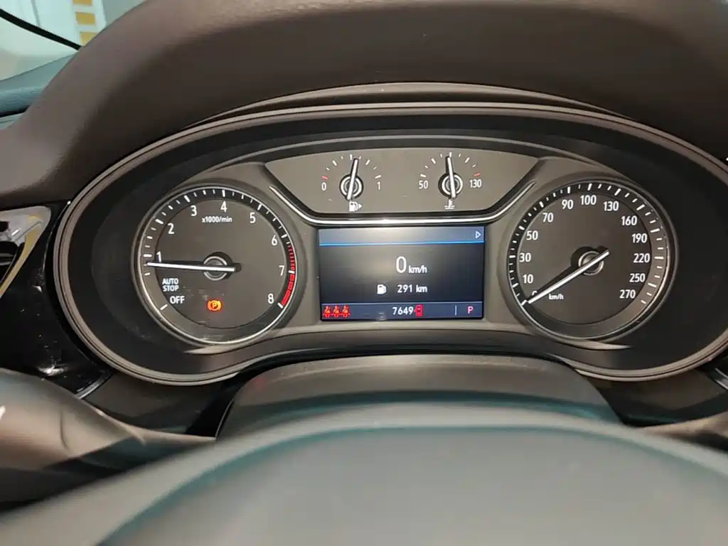 Buick Regal — миниатюра 12