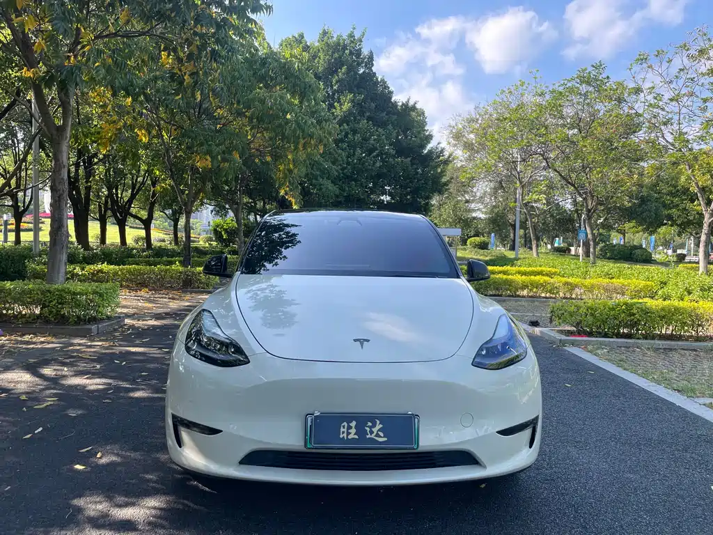 Tesla Model Y — миниатюра 3