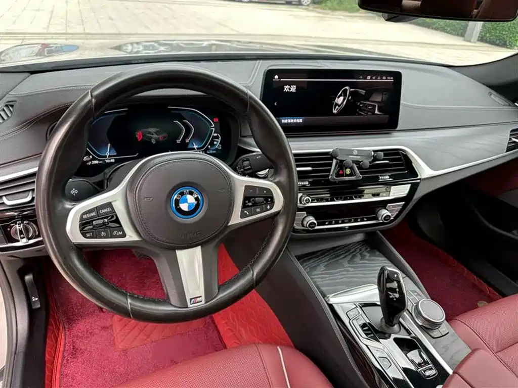 BMW  5 SERIES NEW ENERGY