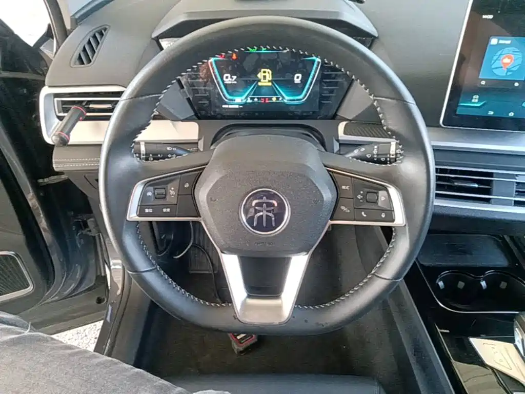 BYD Pro — миниатюра 11