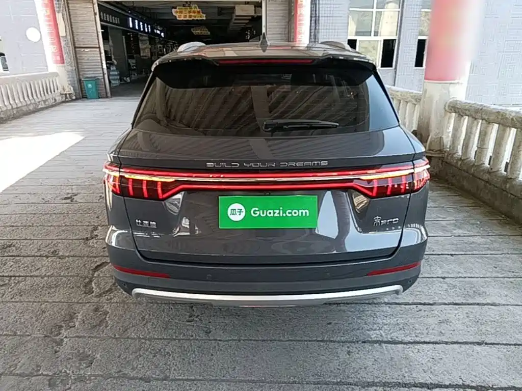 BYD Pro — миниатюра 6
