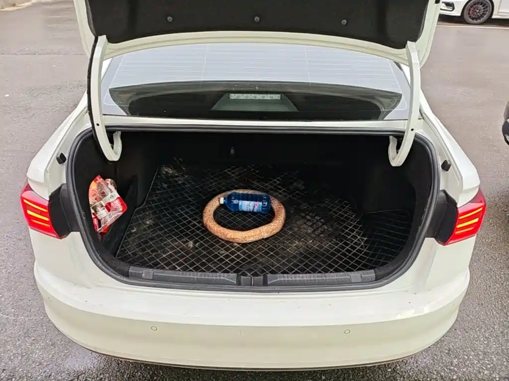 Volkswagen Bora — миниатюра 19