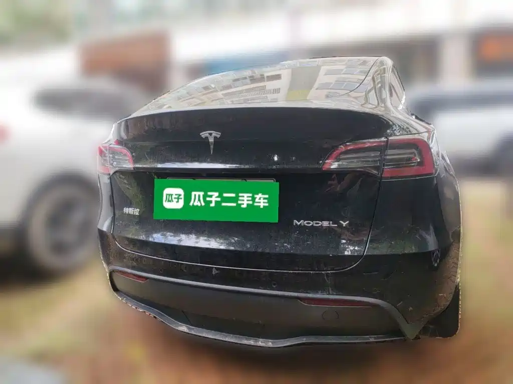 Tesla Model Y — миниатюра 3