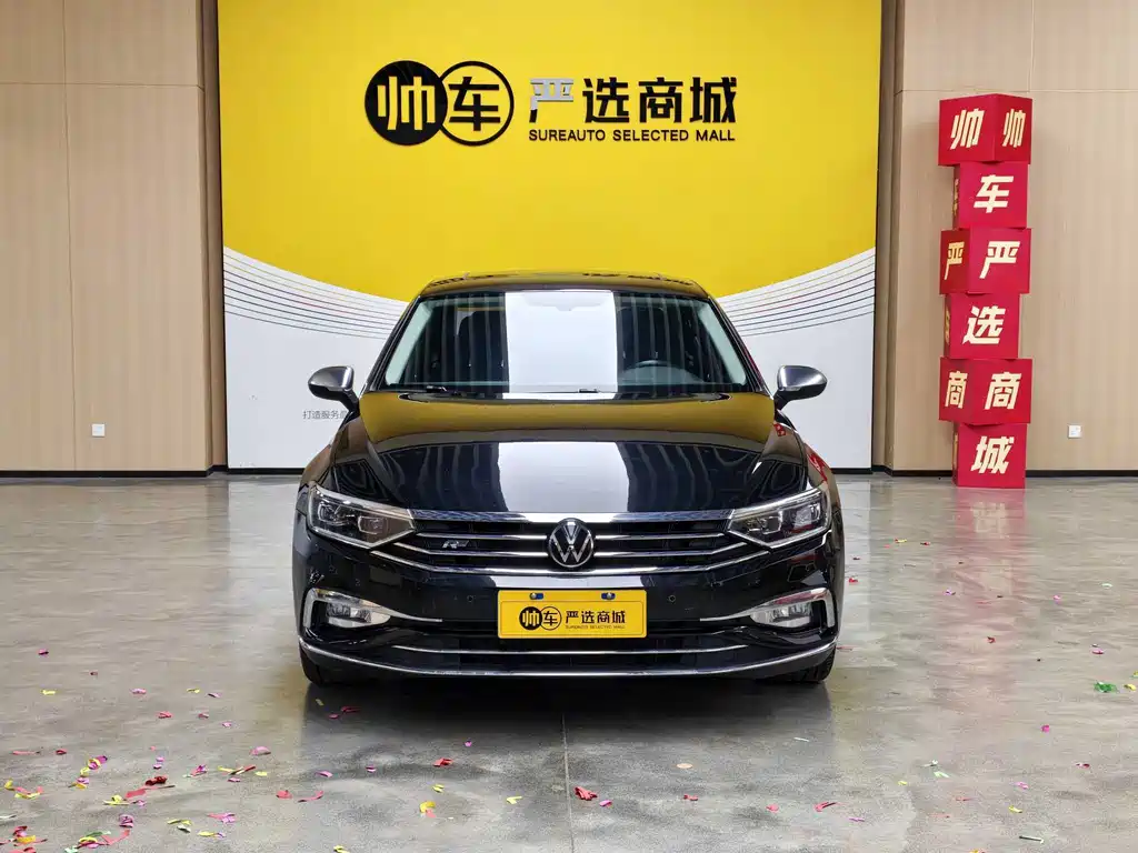 Volkswagen Magotan — миниатюра 3
