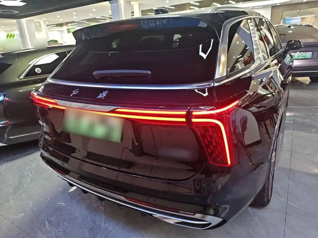 Hongqi Hongqi E-HS9 — миниатюра 6