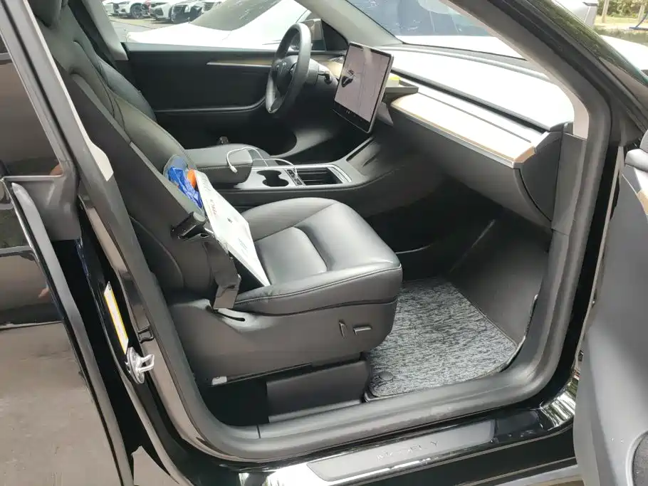 Tesla Model Y — миниатюра 8
