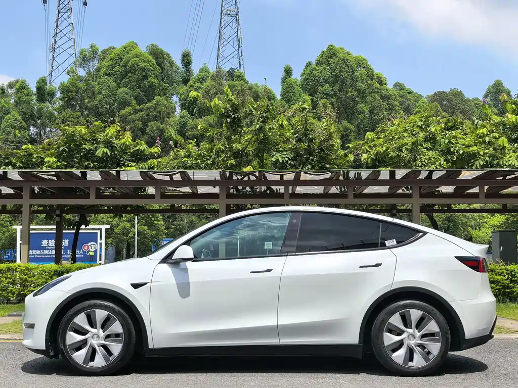 Tesla Model Y — миниатюра 4