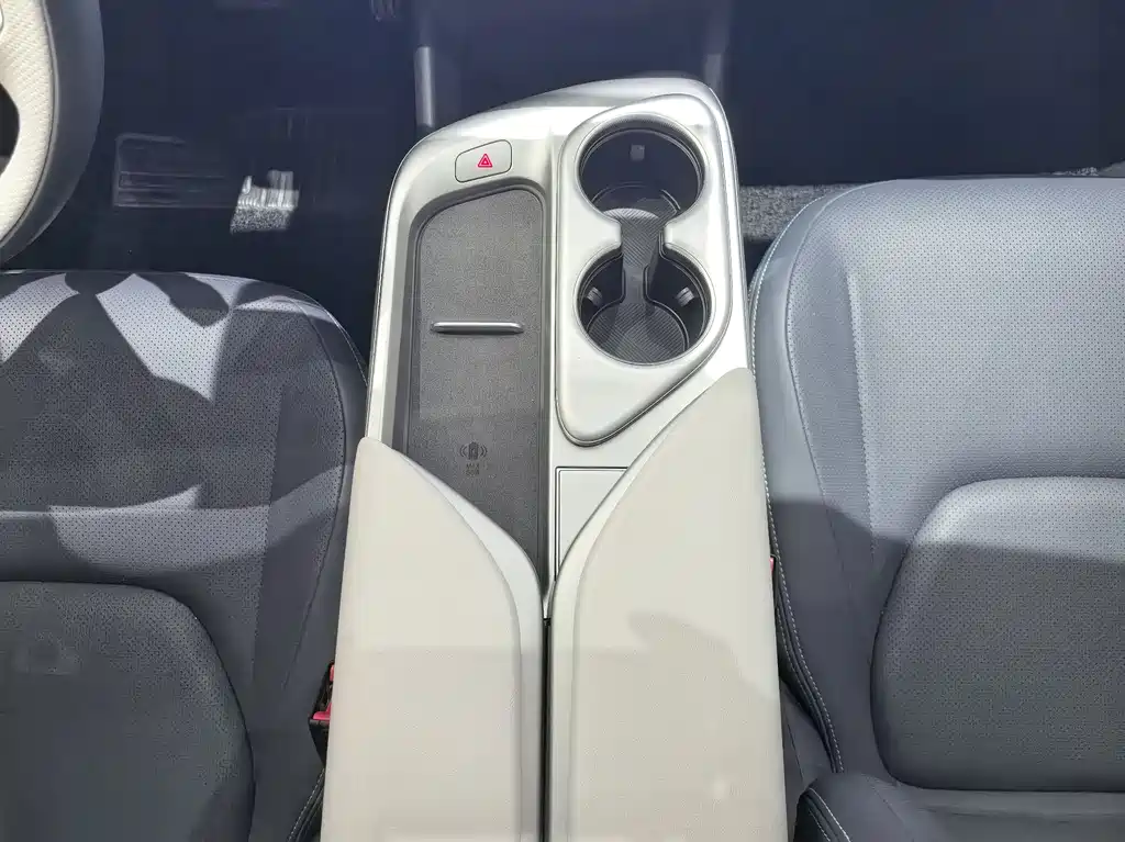 ARCFOX EXTREME FOX POLAR FOX ALPHA T5