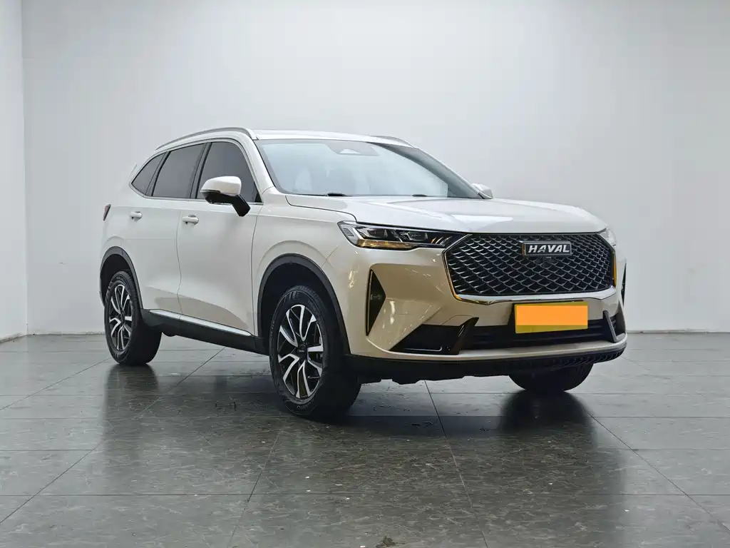 Haval H6 — миниатюра 2