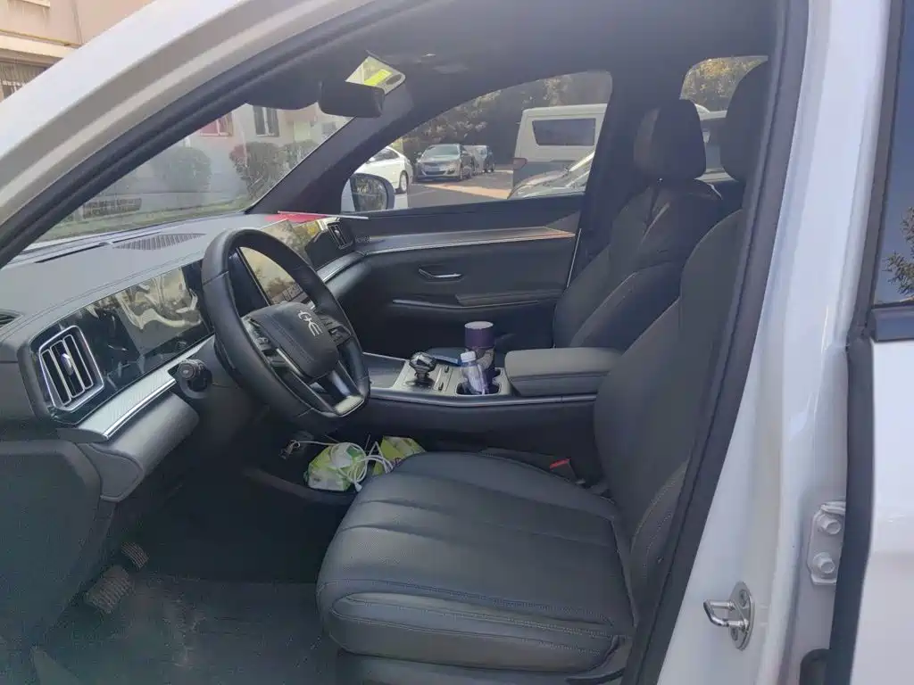 BYD Pro New Energy — миниатюра 11