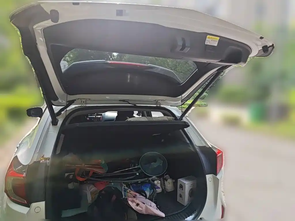 Acura CDX — миниатюра 20