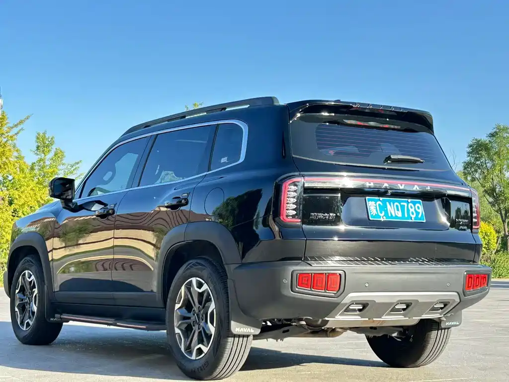 Haval Big Dog — миниатюра 7