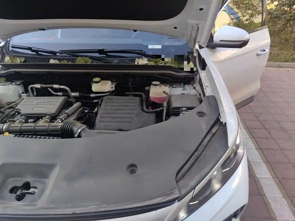 BYD Pro New Energy — миниатюра 22