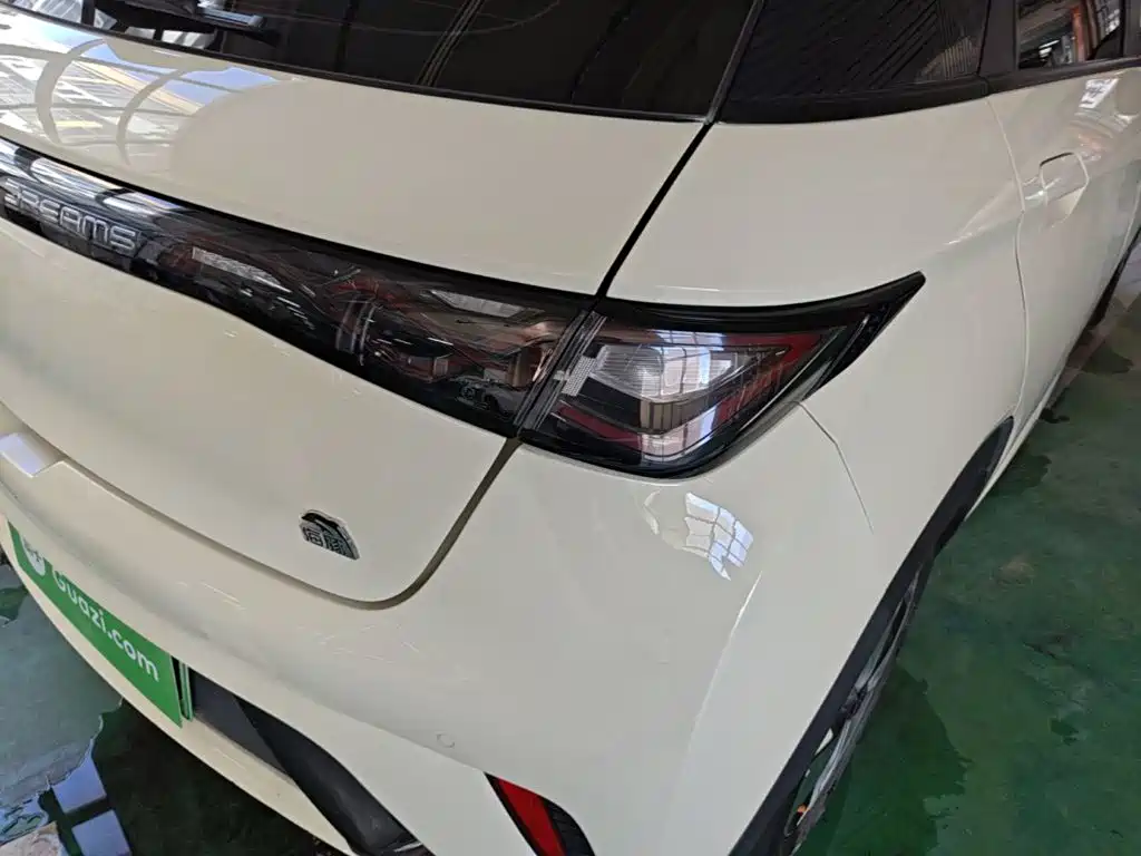 BYD Dolphin — миниатюра 8