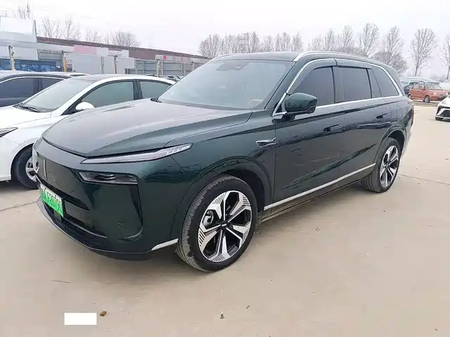 WEI PAI WEI BRAND BLUE MOUNTAIN 2024