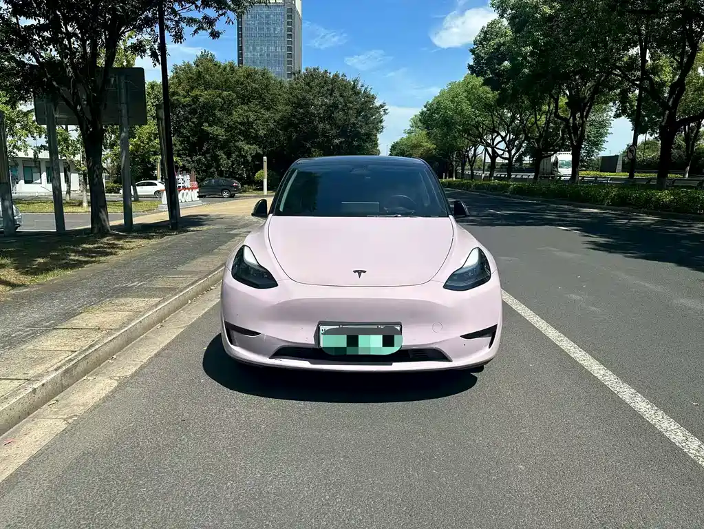 Tesla Model Y — миниатюра 2